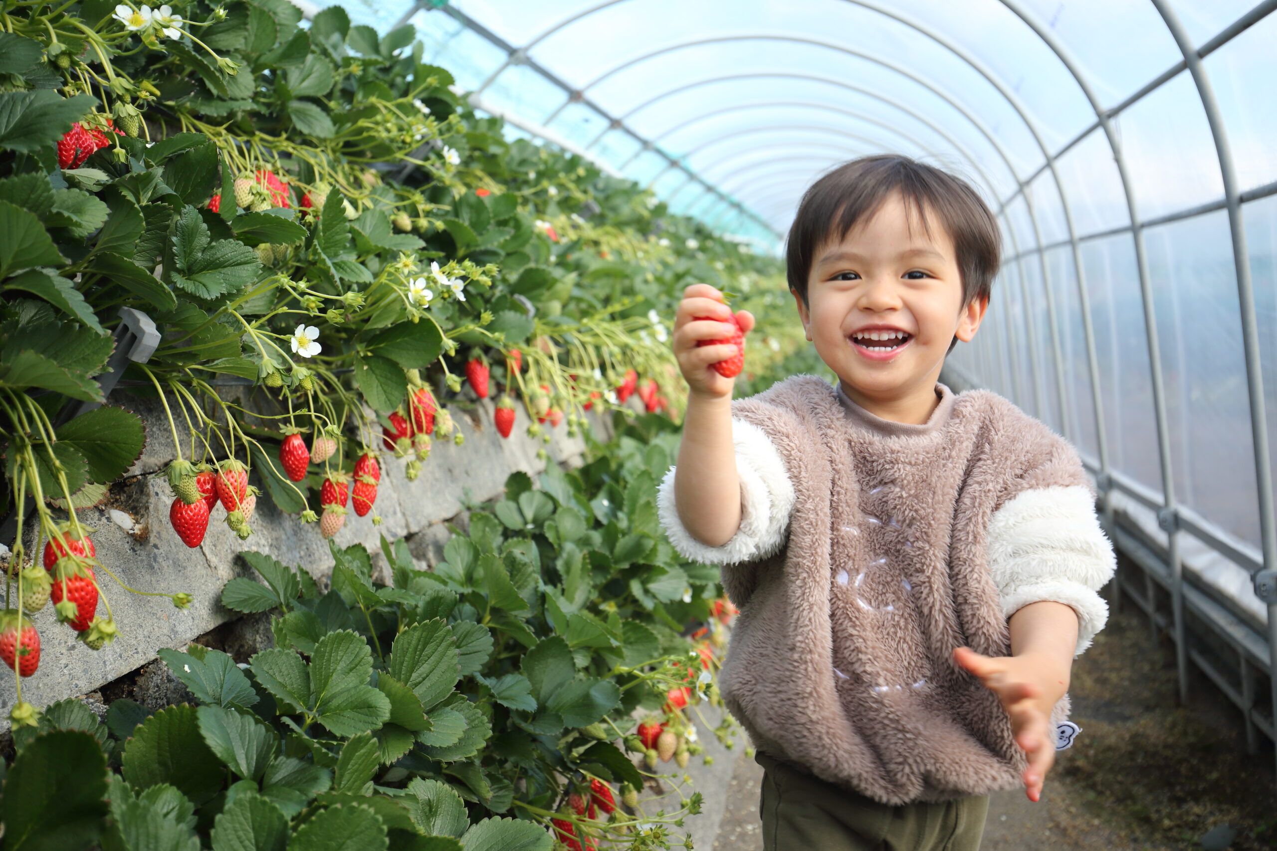 まるとよ苺園で摘み取ったいちごを手に、笑顔が溢れる子どもの様子